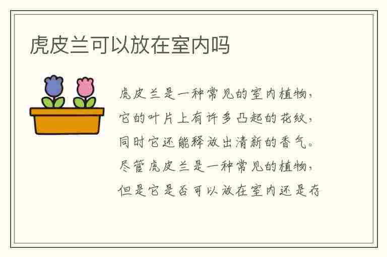 虎皮兰可以放在室内吗(虎皮兰可以放在室内吗?)